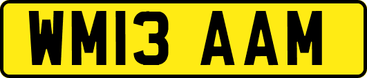 WM13AAM