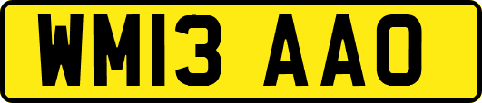 WM13AAO