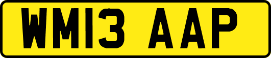 WM13AAP