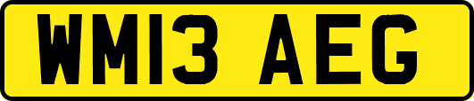 WM13AEG