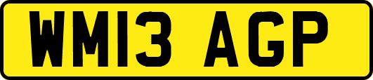 WM13AGP
