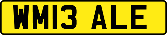 WM13ALE