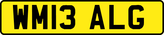 WM13ALG