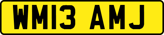 WM13AMJ