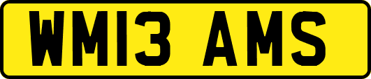 WM13AMS