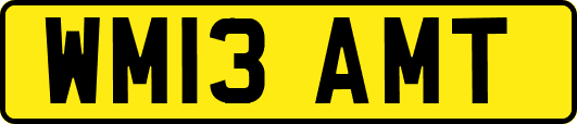 WM13AMT