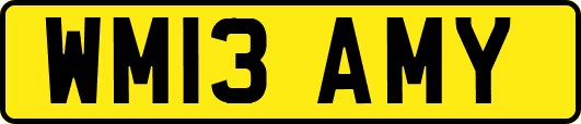 WM13AMY