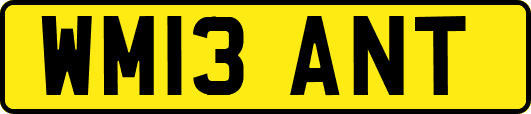 WM13ANT