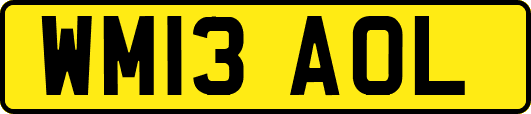 WM13AOL