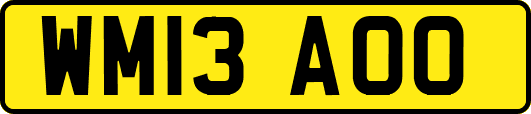 WM13AOO