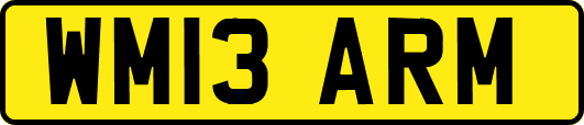 WM13ARM