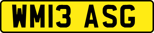 WM13ASG