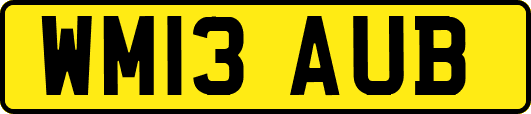 WM13AUB