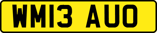 WM13AUO