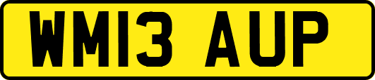 WM13AUP