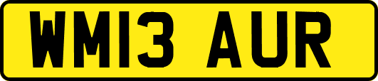 WM13AUR