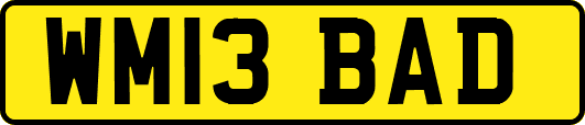 WM13BAD