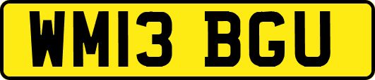 WM13BGU