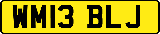 WM13BLJ