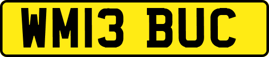 WM13BUC