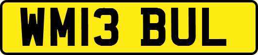 WM13BUL