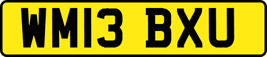WM13BXU