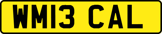 WM13CAL