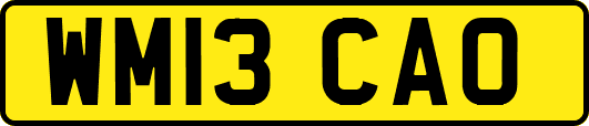 WM13CAO