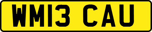 WM13CAU