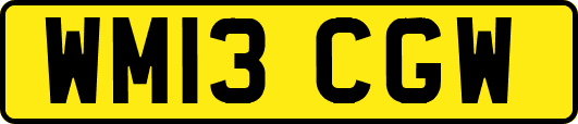 WM13CGW