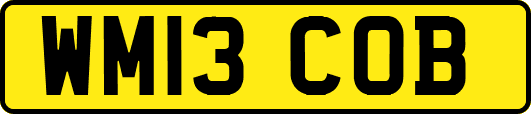 WM13COB