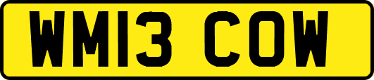 WM13COW