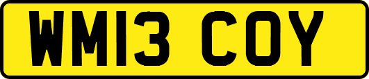WM13COY