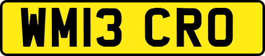 WM13CRO