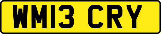WM13CRY