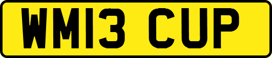 WM13CUP