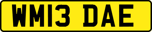 WM13DAE