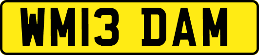WM13DAM