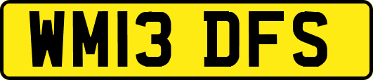 WM13DFS