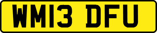 WM13DFU