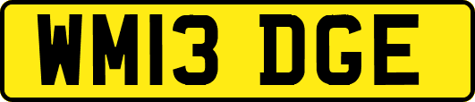 WM13DGE