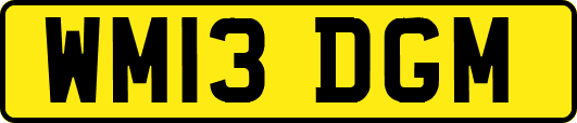 WM13DGM