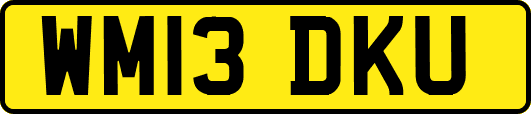 WM13DKU