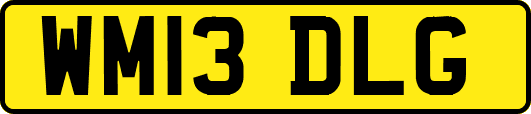 WM13DLG