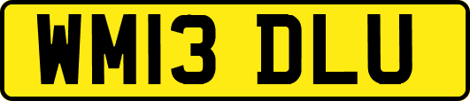 WM13DLU