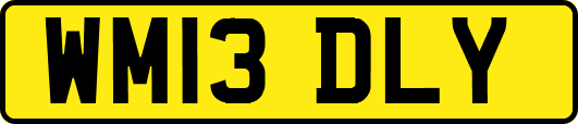 WM13DLY