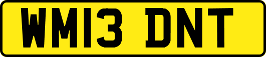 WM13DNT