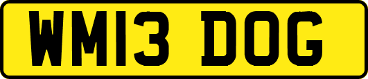 WM13DOG