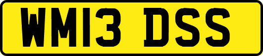 WM13DSS