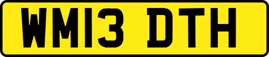 WM13DTH